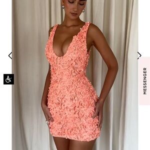 FAENA
Add To Wishlist
SORBET PLUNGE FLORAL APPLIQUÉ MINI DRESS
M brand new